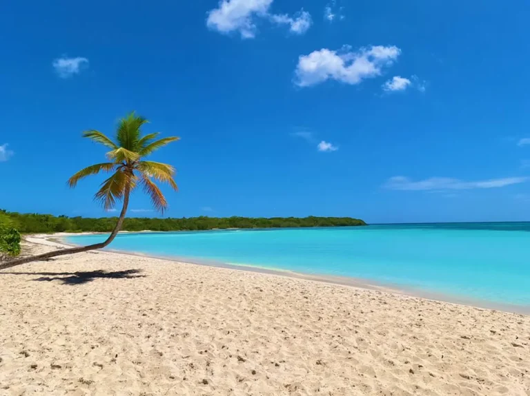 Excursión a Isla Saona en Lancha y Catamarán: Un Día en el Mar Caribe